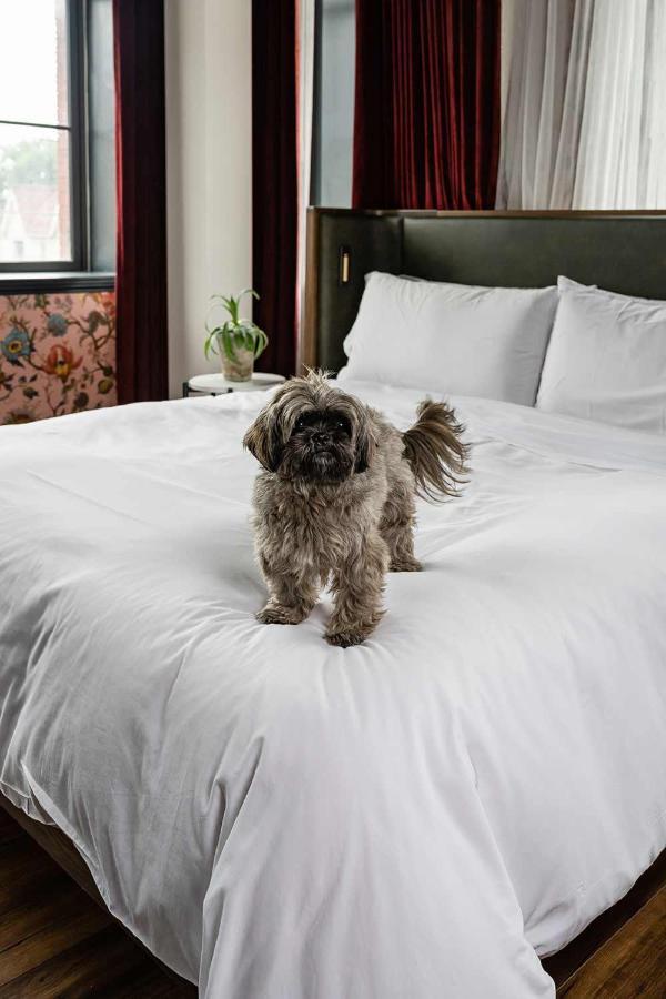 The Broadview Hotel Toronto Exteriör bild